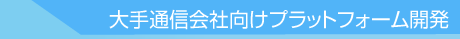大手通信会社向けプラットフォーム開発