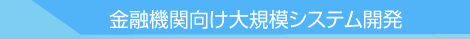 金融機関向け大規模システム開発