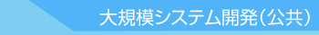 大規模システム開発（公共）