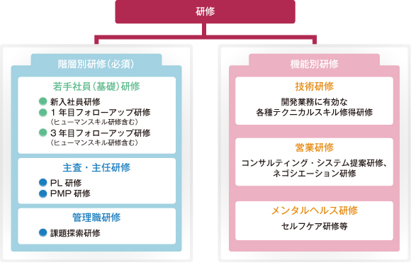 研修体制図