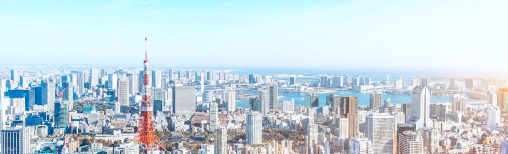 東京タワーと街並みのパノラマ写真